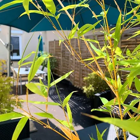 Eco-appart'hotel - Bde דירה *