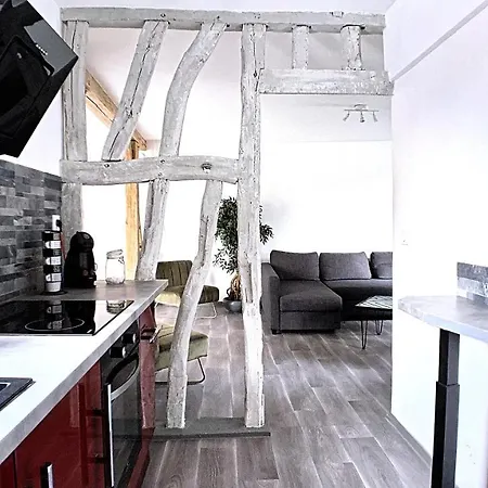 Eco-appart'hotel - Bde דירה